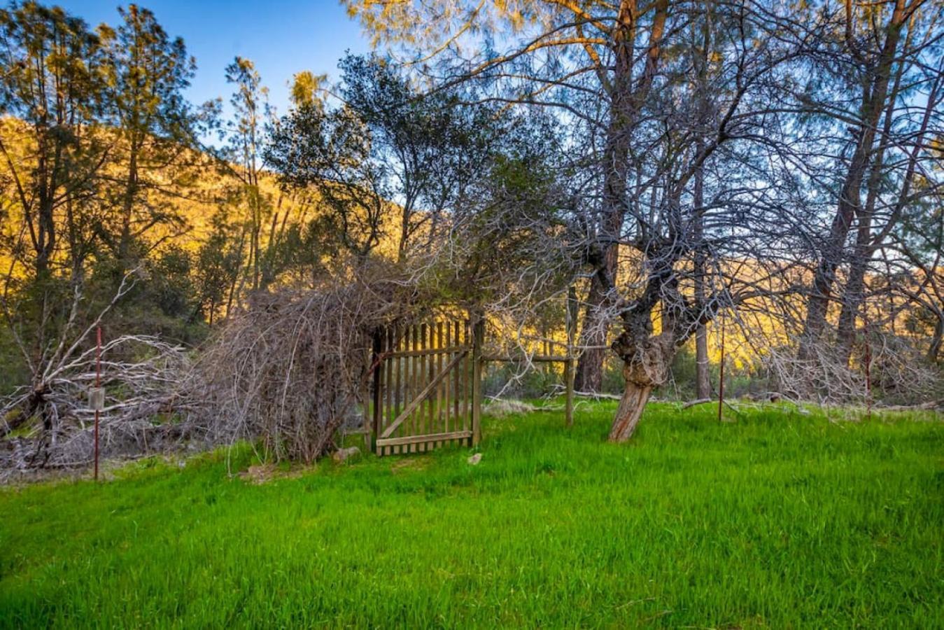 Sierra Vista Lookout Lodge With Creek, Waterfall And Waterholes, Minutes From Bass Lake And Yosemite South Gate North Fork 외부 사진